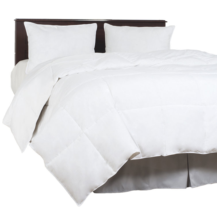 PLYH All Season Polyester Down Alternative Comforter & Reviews Wayfair